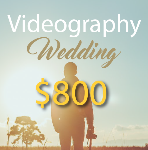 Wedding Videography 800