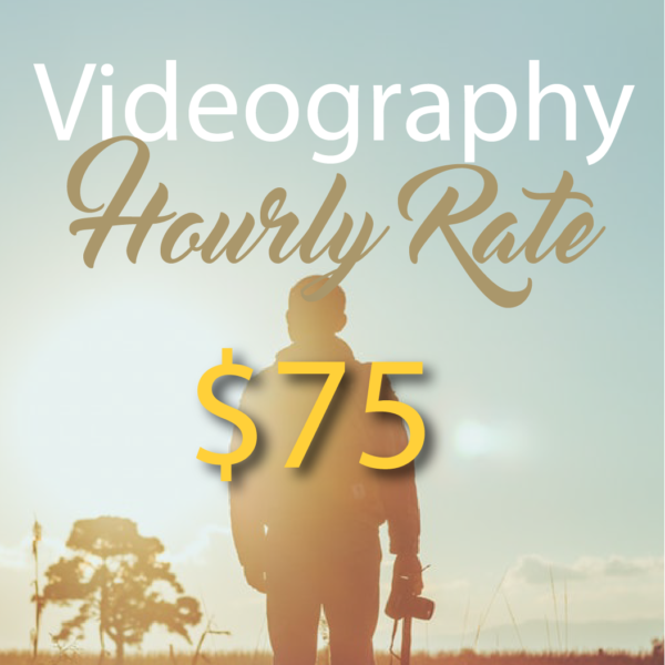 Video Hourly Rate